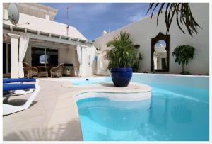 a swimming pool with a potted plant next to a house at Mi casa su casa in La Oliva