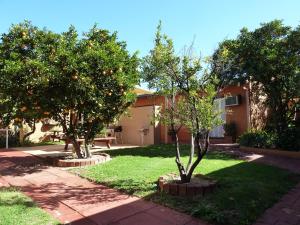 two orange trees in a yard next to a house at The Miners Rest Motel in Kalgoorlie