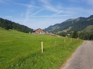 a dirt road next to a green field with a fence at Jausenstation Neuschwand in Hittisau