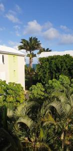 una palmera frente a un edificio blanco en Ti Kaz A Rhum, en Sainte-Anne
