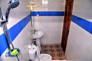 a bathroom with a toilet and a sink at Victoria Lake View Guesthouse & Safaris in Entebbe