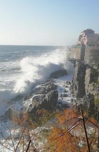 Φυσικό τοπίο κοντά σε αυτό το διαμέρισμα