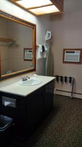 a bathroom with a sink and a mirror at Chama River Bend Lodge in Chama