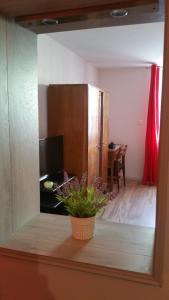 a view of a living room with a plant at La Roseraie in Épinal