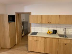 Kuchyň nebo kuchyňský kout v ubytování YASNA Apartments