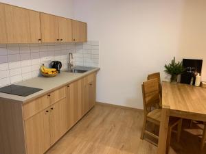 Kuchyň nebo kuchyňský kout v ubytování YASNA Apartments