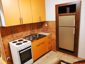 a small kitchen with a stove and a sink at V2 with Love - Vintage Modern and Spacious in Belgrade +11 photos