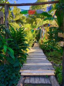 un chemin en bois dans un jardin avec un bouquet de drapeaux dans l'établissement El refugio de budda, à Sauce de Portezuelo