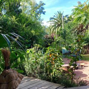 un jardín con un banco, plantas y árboles en El refugio de budda, en Sauce de Portezuelo