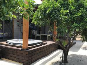 A garden outside Cabañas La Luz