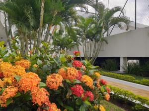 um jardim com laranjeiras, flores vermelhas e palmeiras em Guarujá Enseada - A Beira da Praia ao lado do Shopping - Wifi - Vaga Garagem no Guarujá
