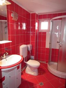 bagno rosso con servizi igienici e lavandino di Vila Brandusa a Bran