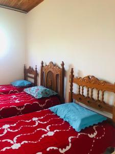 two beds sitting next to each other in a bedroom at Casa Verde na Chapada Diamantina in Palmeiras +57 photos