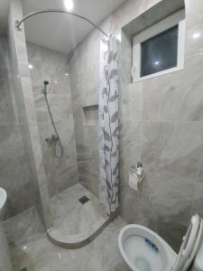 Koupelna v ubytování Apartman DoDoLu