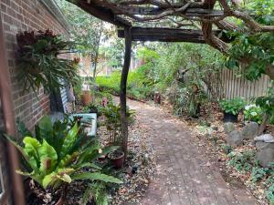 a garden with a pergola and some plants at Yass Central Bed & Breakfast in Yass