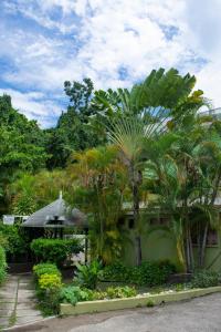 una casa con palmeras delante en Pineapple Court Hotel, en Ocho Ríos