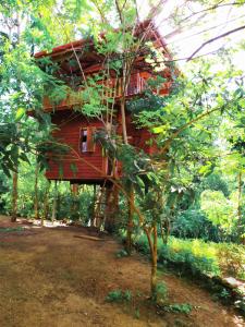 una casa en el árbol en medio del bosque en Tree House-Midigama en Weligama