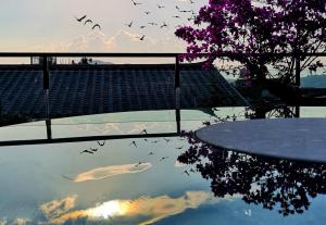 a reflection of birds in a pool of water at Floral Tengchong Mountain Residence in Tengchong