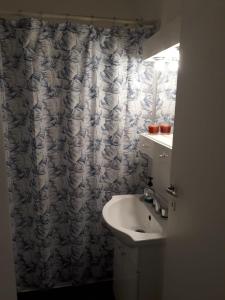 baño con lavabo y cortina de ducha en Departamento en Belgrano en Buenos Aires