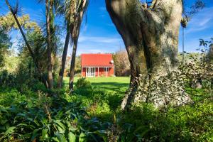 a red house in the middle of a field with trees at Brookhaven Cottage in Renwick