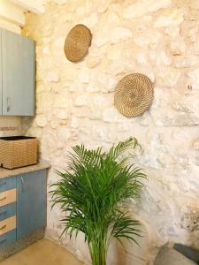 アリカンテにあるStyle City Center HappyAlicanteの石壁のあるキッチンの植物
