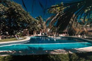 Fotografie z fotogalerie ubytování Hotel Paradise Suites v destinaci Isla Mujeres
