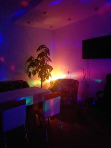 Fotografie z fotogalerie ubytování Vila Elena si Ionut v destinaci Breaza + 34 fotografií