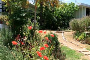 a garden with red flowers next to a house at Annika Self-catering and B&B in Stellenbosch