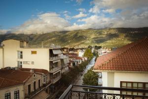 vista su una città con edifici e montagne di 2 Bedrooms-Perfect Center Location-Amazing View a Ioannina