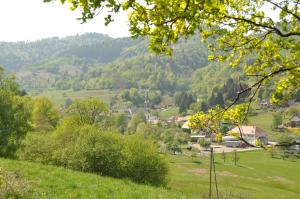 a view of a village in the hills at Appartement à Mitzach in Mitzach +7 photos