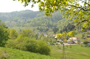 a view of a village in the hills at Appartement à Mitzach in Mitzach