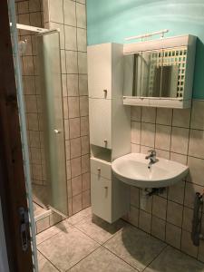 uma casa de banho com um lavatório e um espelho em Appartement à Mitzach em Mitzach