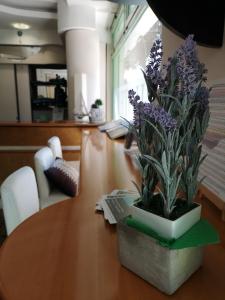 Hotel Aquamarina