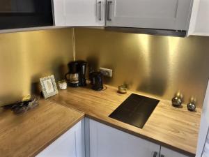 Кухня или мини-кухня в Le Mangin - Studio avec terrasse
