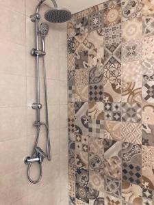 a shower with a shower head in a bathroom at Popasul din Pietrar in Preluca Veche