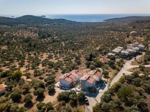 Gallery image of Villa Oliva in Astris