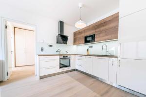 Kuchyň nebo kuchyňský kout v ubytování Quiet & new apartment near city center with garage