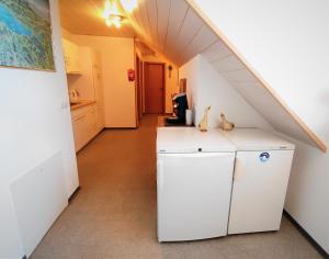 Kuchyň nebo kuchyňský kout v ubytování BodenSEE Haus am Geissbock