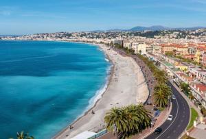a view of a beach with palm trees and the ocean at Palais des Domes Gloria in Nice