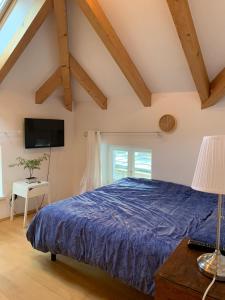 a bedroom with a blue bed and a window at Rosengarten Rooftop in Bolzano