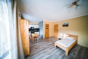 Televízia a/alebo spoločenská miestnosť v ubytovaní Pokoje i Apartamenty Nad Potokiem
