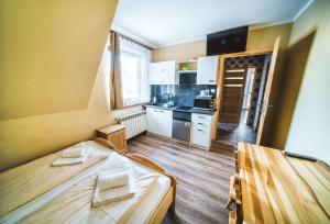 Kuchyňa alebo kuchynka v ubytovaní Pokoje i Apartamenty Nad Potokiem