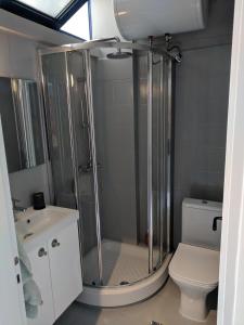 a bathroom with a shower with a toilet and a sink at Green Coast in Sounio
