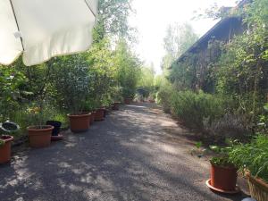 Vườn quanh campo verde