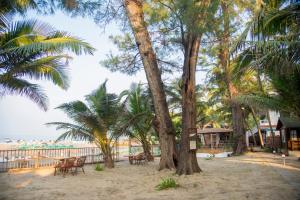 Фотография из галереи Silent Beach Resort в Мандреме