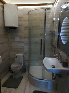 een badkamer met een douche, een toilet en een wastafel bij Isabellino údolí in Stříbro