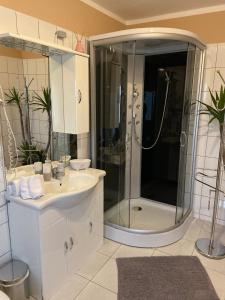 W łazience znajduje się prysznic i umywalka. w obiekcie Gasthaus Luggwirt w mieście Gnesau