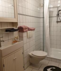 ein Bad mit einem WC, einem Waschbecken und einer Dusche in der Unterkunft Ferienhaus Käthchen am Deich vor den Toren von Sylt in Emmelsbüll-Horsbüll