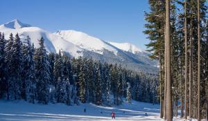 Fotografie z fotogalerie ubytování Skiing, Walking, Enjoying in mountains v destinaci Bansko