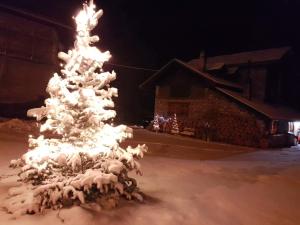 B&B ABETE BIANCO v zime